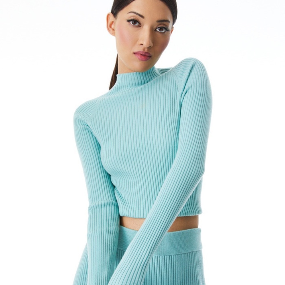 Alice + Olivia Irena Mock Neck rib sweater